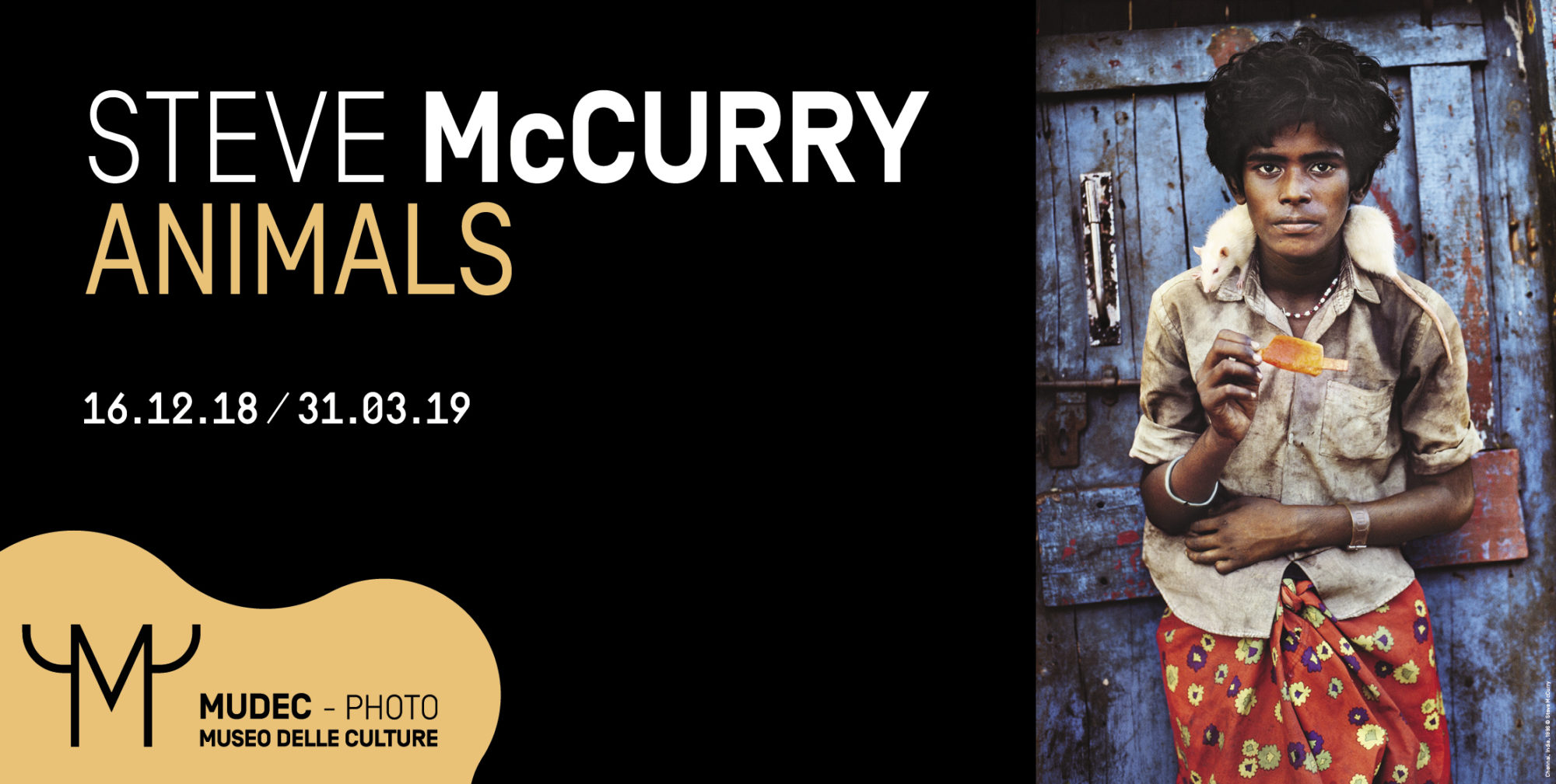 Steve McCurry. Animals Steve McCurry. Animals
